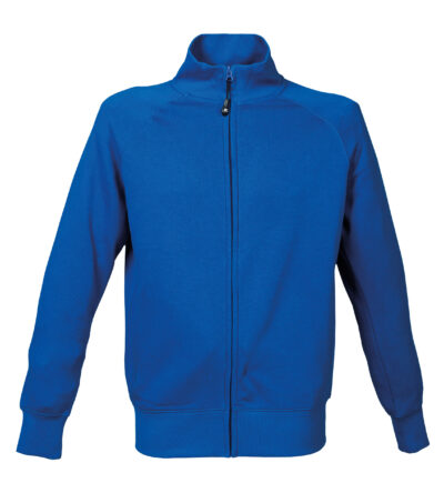 Felpa Malesia Man - royal, XS