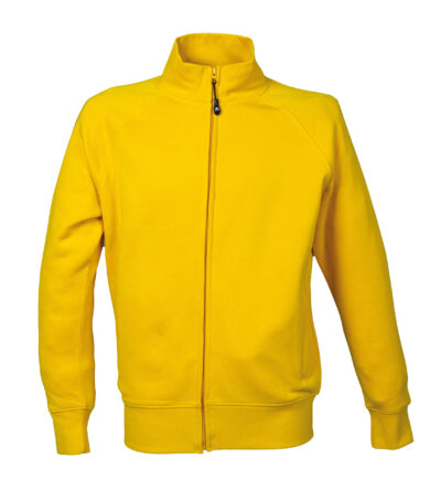 Felpa Malesia Man - yellow, XS
