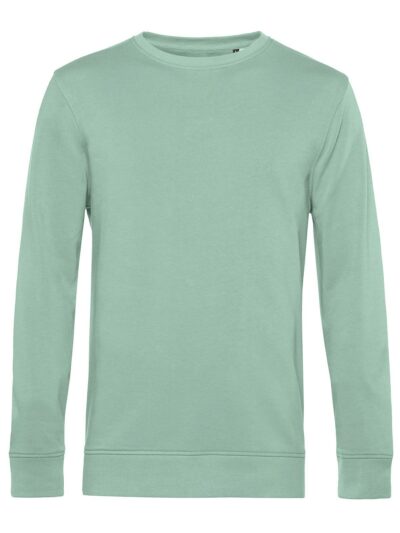 Inspire Crew Neck - sage, XS