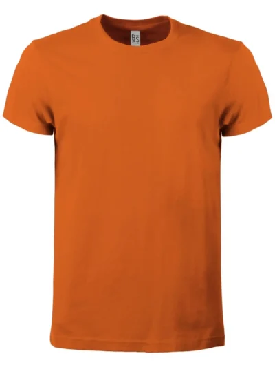 Evolution T-shirt - orange, 3XL