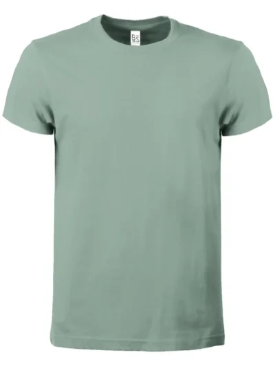 Evolution T-shirt - sage, 3XL