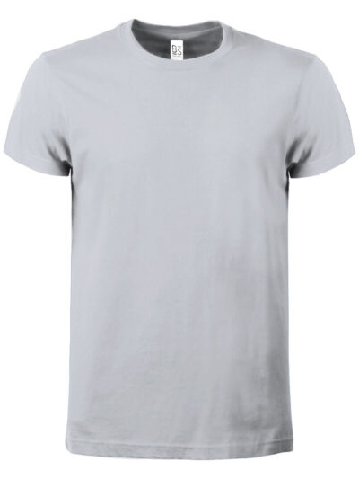 Evolution T-shirt - zinc, 4XL