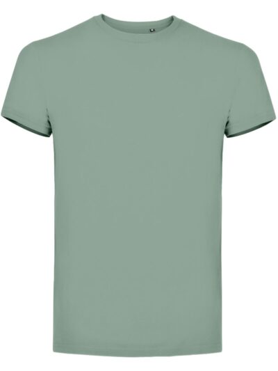 T-shirt bio Gemini - sage, XS